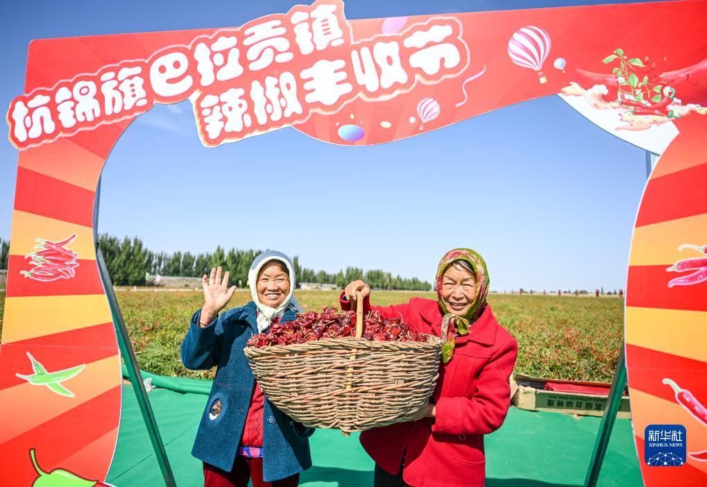 开户送白菜网
